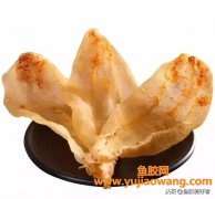 (鱼胶治咳嗽哮喘吗)白花胶知识，你知道!--白花胶篇