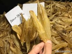 鱼泡有两层哪层可以做花胶(新鲜鱼泡怎么做成花胶？)