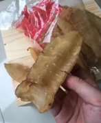 花胶对输卵管炎有什么作用(吃花胶和燕窝对身体有哪些帮助？