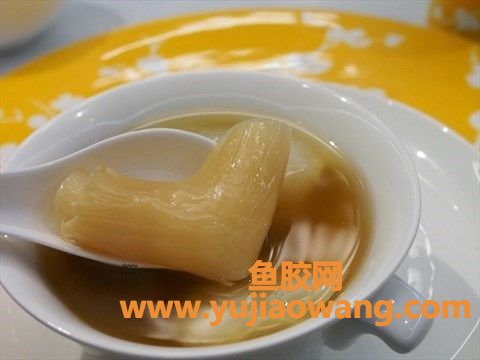 黄豆炖花胶(黄豆花胶可以一起做豆浆吗)