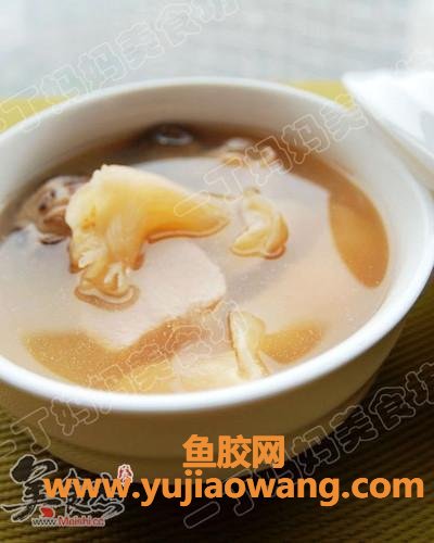 老鸽花胶汤(花胶老鸽汤的功效)