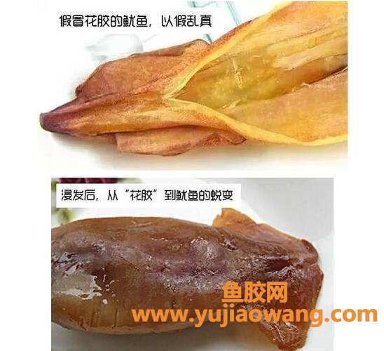 假花胶图片(真假花胶浸泡后的图片) 假花胶图片(真假花胶浸泡后的图片)