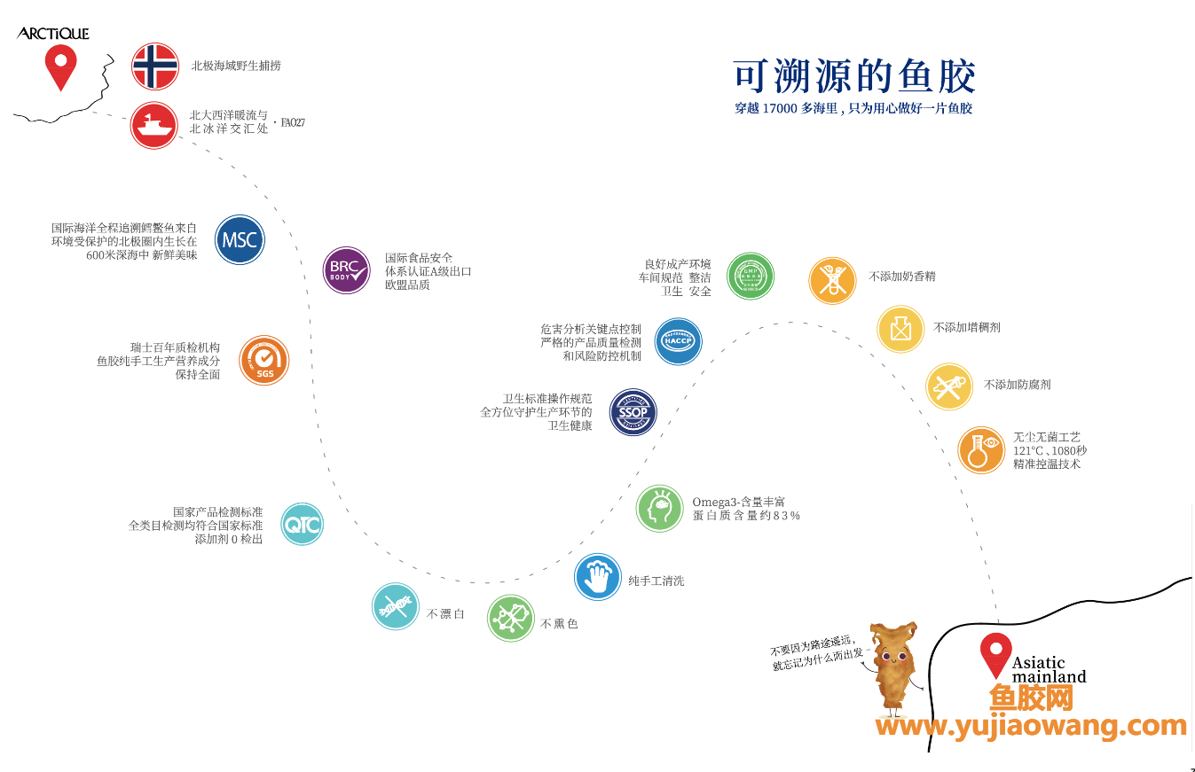 (鳕鱼胶一次吃10g)ARCTIQUE安嘉仁新品溯源即食鱼胶上市