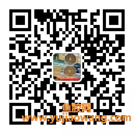 (鱼胶椰子煲鸡汤的功效与作用)不懂泡发鱼胶看过来啦!八个步骤,泡出胶