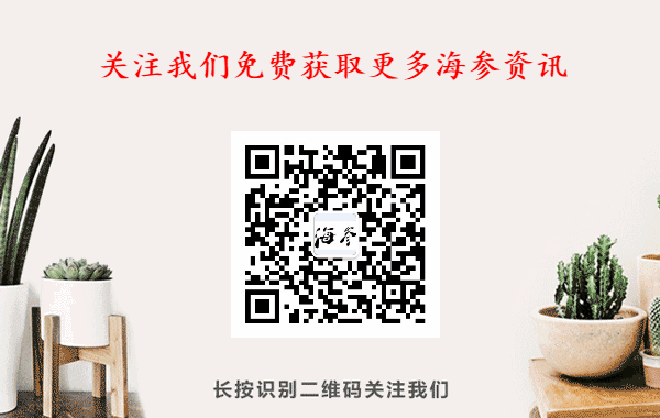 (每天吃一个海参好吗)好消息!每天吃一只海参,烟台新型冠状病毒患者治