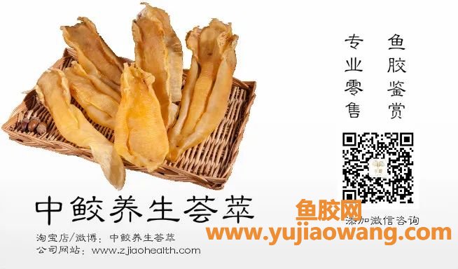 (月婆子能吃鱼胶吗)鱼胶坚持吃它3个月,改变让你意想不到 (月婆子能吃鱼胶吗)鱼胶坚持吃它3个月,改变让你意想不到