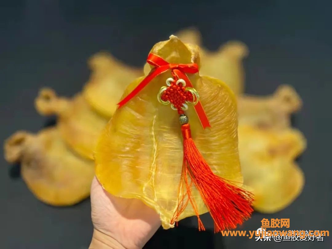 (广东养生特产鱼胶)舌尖上的美食_潮汕特色--鱼胶饮食文化