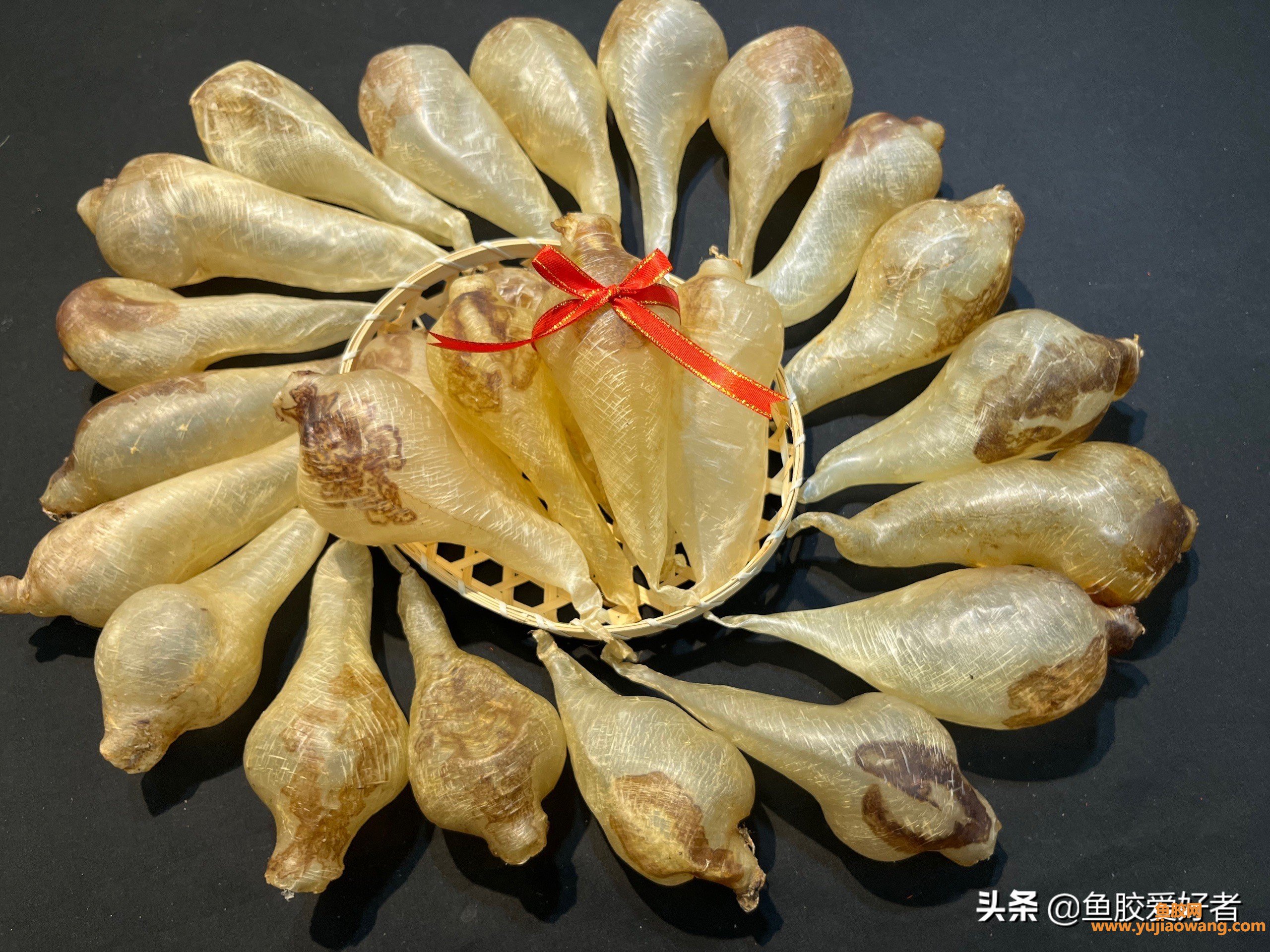 (广东养生特产鱼胶)舌尖上的美食_潮汕特色--鱼胶饮食文化