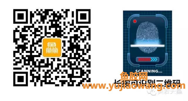 (产后鲍鱼可以跟鱼胶一起炖吗)鱼胶(花胶)的功效与作用大全