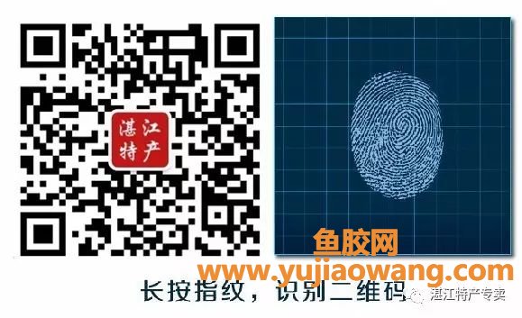 (产后鲍鱼可以跟鱼胶一起炖吗)准妈妈产前、产后最佳鱼胶食谱,get√起