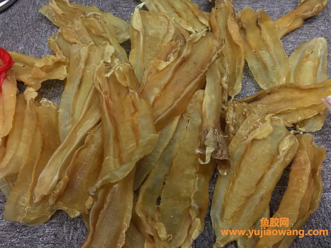 (为什么要早晨空腹吃鱼胶)怎么不早说!这么久的鱼胶白吃了! (为什么要早晨空腹吃鱼胶)怎么不早说!这么久的鱼胶白吃了!