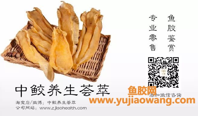 (为什么要早晨空腹吃鱼胶)怎么不早说!这么久的鱼胶白吃了! (为什么要早晨空腹吃鱼胶)怎么不早说!这么久的鱼胶白吃了!