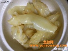 如何处理花胶(花胶生虫了怎么处理)