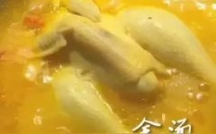 石斛炖花胶的功效与作用 石斛胶的功效