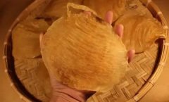 花胶响螺片的做法大全 响螺花胶汤的做法大全