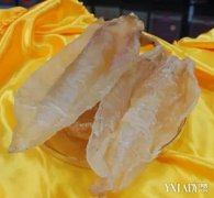 泡发后的花胶怎么保存 为什么医生不建议吃花胶
