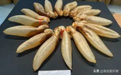 广州花胶鸡煲 广东花胶