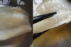 花胶泡好的清水能用吗 花胶一定要用纯净水泡吗