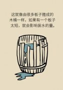 珍珠花胶 深海花胶
