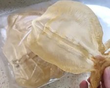 花胶和海参的做法 海参的功效是什么