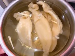 乳鸽花胶汤 乳鸽汤的功效与禁忌