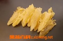 花胶与沙参可以一起炖煮吗 鱼胶怎么吃养胃效果最好