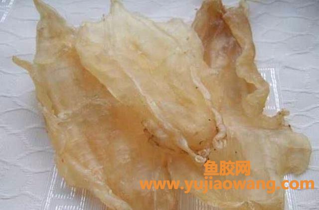 花胶鱼肚是什么意思 什么鱼的花胶好 花胶鱼肚是什么意思 什么鱼的花胶好