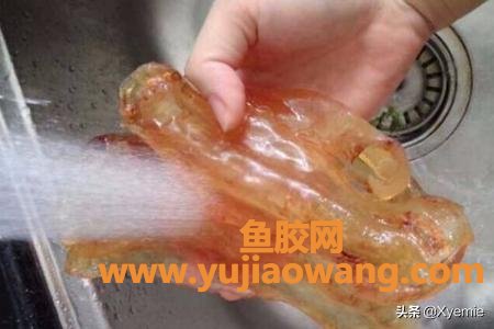 花胶用温水泡多久 花胶用热水泡多久