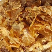 花胶煲肉需要放姜吗 花胶煲汤可以放姜吗?