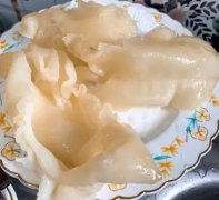 牛奶炖花胶对孕妇 