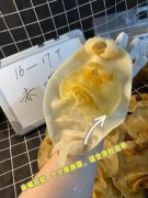 花胶黑豆当归汤 花胶当归汤的做法大全