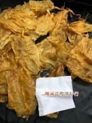灵芝花胶海底椰 海底椰 花胶