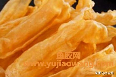 花胶子 花胶子宫肌瘤可以吃吗 花胶子 花胶子宫肌瘤可以吃吗