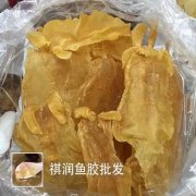 花胶炖当归的功效与作用 当归煲花胶有什么功效
