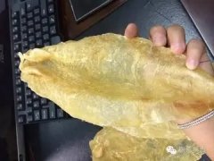 陈皮炖花胶有什么功效和作用 陈皮炖花胶的功效