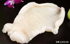 炖汤花胶用量 花胶煲汤用量