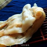 花胶催奶汤 花胶催奶汤的做法