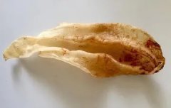 花胶红枣枸杞功效 红枣枸杞炖花胶的作用
