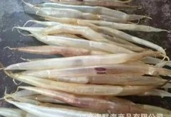 花胶灵芝骨头汤 花胶灵芝排骨汤