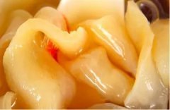 如何泡发红鸡赤嘴花胶 赤嘴鱼胶怎么泡发最好