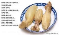 花胶为什么像咸鱼味 花胶一股咸鱼味