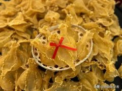 红枣姜片炖花胶可以加桂圆吗 花胶红枣姜片这样炖可以吗