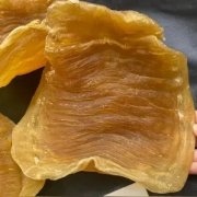 有冠心病的人能吃花胶吗 冠心病可以吃花胶吗?