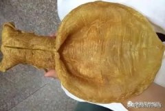 男生可以喝花胶炖鸡吗 男人能吃花胶炖鸡吗
