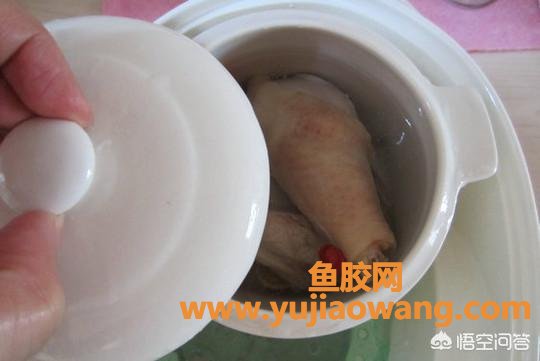 花胶茶树菇炖鸡 花胶茶树菇炖鸡的做法 花胶茶树菇炖鸡 花胶茶树菇炖鸡的做法