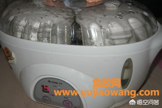 花胶茶树菇炖鸡 花胶茶树菇炖鸡的做法 花胶茶树菇炖鸡 花胶茶树菇炖鸡的做法