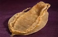 怀孕5个月可以饮花胶汤 怀孕五个月可以喝花胶汤吗