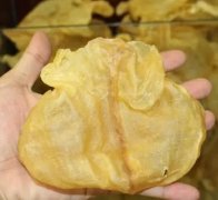 花胶竹笙瑶柱 瑶柱花胶汤