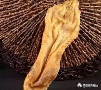 花胶瑶柱香菇汤 瑶柱花胶排骨汤