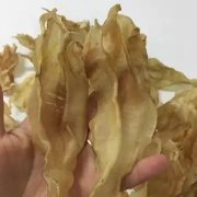 花胶花生莲藕猪脚汤 莲藕花胶猪骨汤的做法